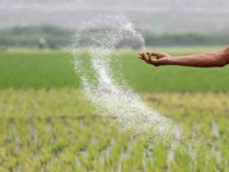 সৌদি আরব ও মরক্কো থেকে ৫৪৪ কোটি টাকার সার কিনবে সরকার